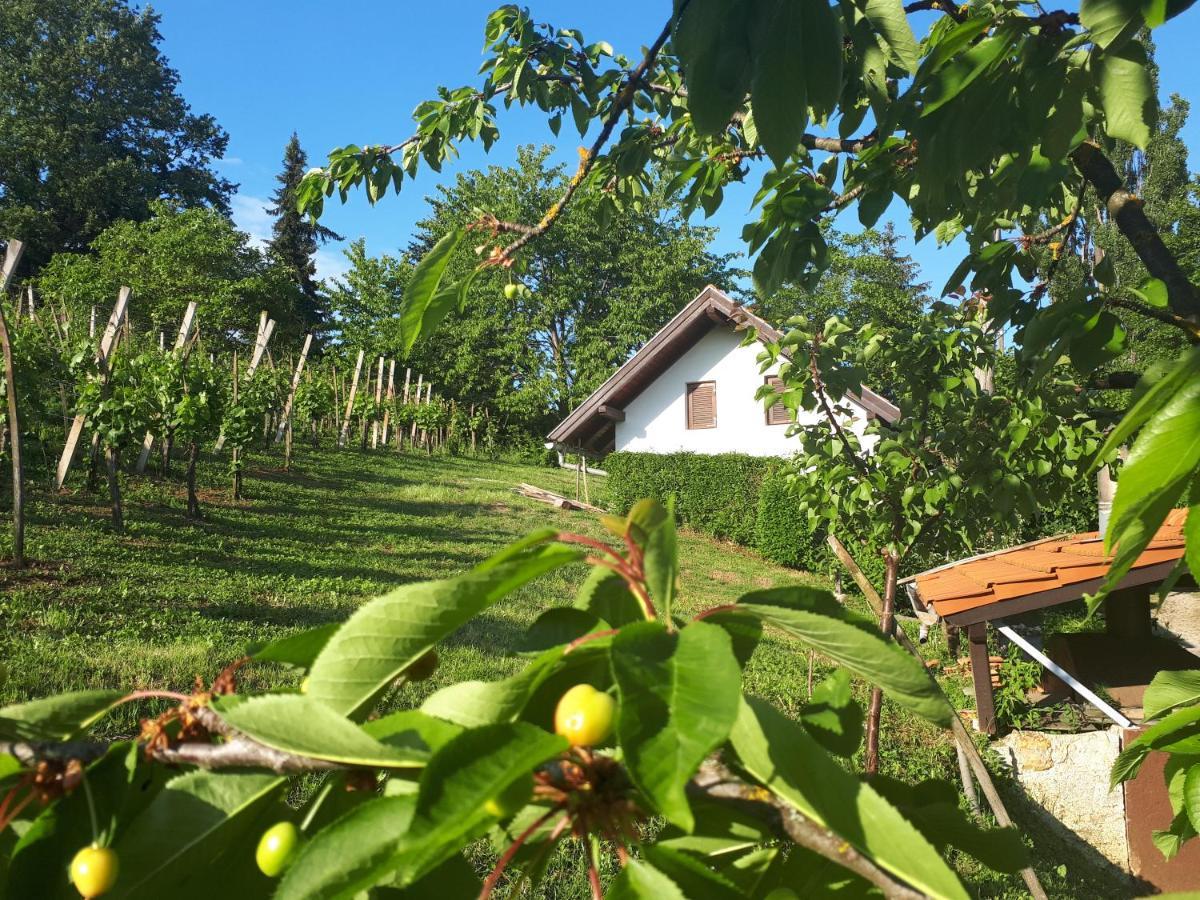 Apartmán Cesargradska Klet Tuhelj Exteriér fotografie