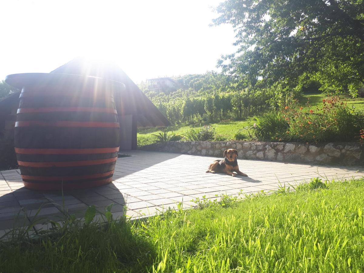 Apartmán Cesargradska Klet Tuhelj Exteriér fotografie