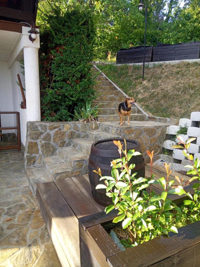 Apartmán Cesargradska Klet Tuhelj Exteriér fotografie